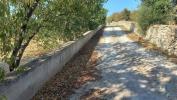 Vente Terrain Loule BOLIQUEIME 5000 m2 Portugal