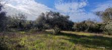 Vente Terrain Loule CENTRAL-ALGARVE 5980 m2 Portugal