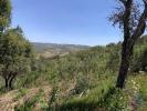 Vente Terrain Loule QUERENAA,-TAR-E-BENAFIM 9960 m2 Portugal