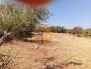 Vente Terrain Loule SAO-CLEMENTE 7200 m2 Portugal