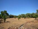 Vente Terrain Loule  4450 m2 Portugal