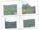 Vente Terrain Loule SAO-CLEMENTE 6900 m2 Portugal