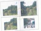 Vente Terrain Loule SAO-CLEMENTE 2500 m2 Portugal
