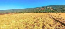 Vente Terrain Loule CENTRAL-ALGARVE 23451 m2 Portugal