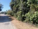 Vente Terrain Loule  445 m2 Portugal