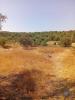 Vente Terrain Loule QUERENA§A,-TA´R-E-BENAFIM 1803 m2 Portugal