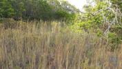 Vente Terrain Loule SA£O-CLEMENTE 700 m2 Portugal