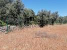Vente Terrain Loule  1100 m2 Portugal