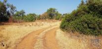 Vente Terrain Loule BOLIQUEIME 13750 m2 Portugal