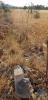 Vente Terrain Loule BOLIQUEIME 11173 m2 Portugal