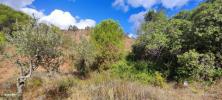 Vente Terrain Loule CENTRAL-ALGARVE 5000 m2 Portugal