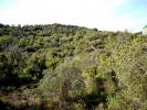 Vente Terrain Loule  1430 m2 Portugal