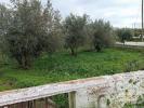 Vente Terrain Loule AMEIXIAL 120 m2 Portugal