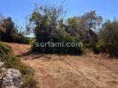 Vente Terrain Loule  Portugal