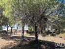 Vente Terrain Loule  960 m2 Portugal