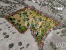 Vente Terrain Loule SA£O-CLEMENTE 10000 m2 Portugal