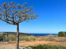 Vente Terrain Lourinha LOURINHA£-E-ATALAIA 349 m2 Portugal