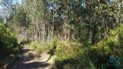 Vente Terrain Lourinha SAO-BARTOLOMEU-DOS-GALEGOS-E-MOLEDO 6200 m2 Portugal