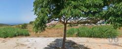 Vente Terrain Lourinha LOURINHA-E-ATALAIA 3960 m2 Portugal