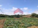 Vente Terrain Lourinha LOURINHA-E-ATALAIA 4760 m2 Portugal