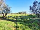 Vente Terrain Lourinha REGUENGO-GRANDE 27508 m2 Portugal