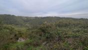 Vente Terrain Lourinha  23680 m2 Portugal