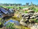 Vente Terrain Lourinha REGUENGO-GRANDE 27508 m2 Portugal