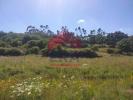 Vente Terrain Lourinha SA£O-BARTOLOMEU-DOS-GALEGOS-E-MOLEDO 5360 m2 Portugal