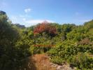 Vente Terrain Lourinha SAO-BARTOLOMEU-DOS-GALEGOS-E-MOLEDO 15440 m2 Portugal