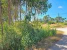 Vente Terrain Lourinha SA£O-BARTOLOMEU-DOS-GALEGOS-E-MOLEDO 2120 m2 Portugal