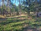 Vente Terrain Lousa LOUSA-E-VILARINHO 990 m2 Portugal