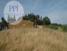Vente Terrain Luzianes-gare  3748 m2 Portugal