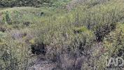 Vente Terrain Macao MAA�A�O,-PENHASCOSO-E-ABOBOREIRA 7680 m2 Portugal