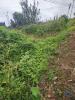 Vente Terrain Machico PORTO-DA-CRUZ 990 m2 Portugal