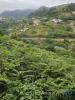 Vente Terrain Machico PORTO-DA-CRUZ 610 m2 Portugal
