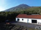 Vente Maison Madalena SA�O-CAETANO 220 m2 Portugal