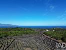 Vente Terrain Madalena MADALENA 20010 m2 Portugal
