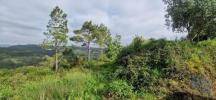 Vente Terrain Mafra  8875 m2 Portugal