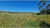 Vente Terrain Mafra MALVEIRA-E-SA�O-MIGUEL-DE-ALCAINA�A 32767 m2 Portugal