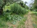 Vente Terrain Mafra SANTO-ISIDORO 4000 m2 Portugal