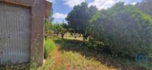 Vente Terrain Mafra AZUEIRA-E-SOBRAL-DA-ABELHEIRA 7812 m2 Portugal