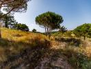 Vente Terrain Mafra 5350 m2 Portugal