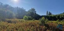 Vente Terrain Mafra AZUEIRA-E-SOBRAL-DA-ABELHEIRA 7500 m2 Portugal