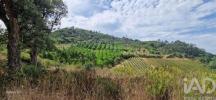 Vente Terrain Mafra AZUEIRA-E-SOBRAL-DA-ABELHEIRA 21937 m2 Portugal