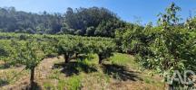 Vente Terrain Mafra AZUEIRA-E-SOBRAL-DA-ABELHEIRA 6250 m2 Portugal