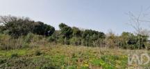 Vente Terrain Mafra IGREJA-NOVA-E-CHELEIROS 9760 m2 Portugal
