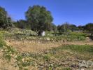 Vente Terrain Mafra MAFRA 1500 m2 Portugal