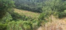 Vente Terrain Mafra MAFRA 4187 m2 Portugal