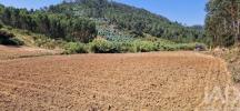 Vente Terrain Mafra AZUEIRA-E-SOBRAL-DA-ABELHEIRA 26562 m2 Portugal