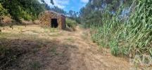 Vente Terrain Mafra AZUEIRA-E-SOBRAL-DA-ABELHEIRA 4250 m2 Portugal